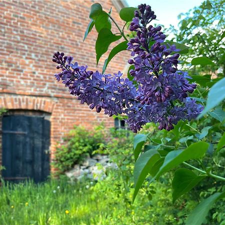 Ferienwohnung Alte Baeckerei Gnade Auf Ruegen Sehlen Exterior foto